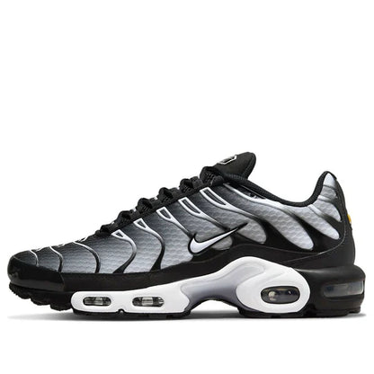 Nike Air Max Plus 'Black Silver'