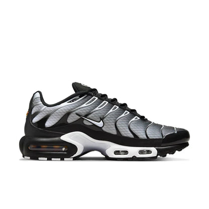 Nike Air Max Plus 'Black Silver'