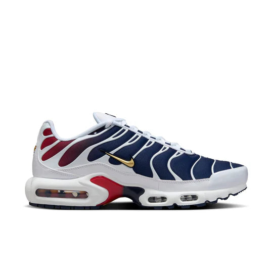 Nike Air Max Plus TN 'PSG'