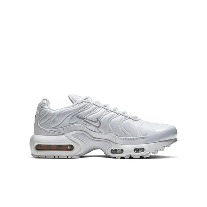 Nike Air Max Plus 'White Metallic Silver'